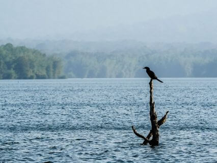 A New Year: A Calmer You - by Alice Langholt