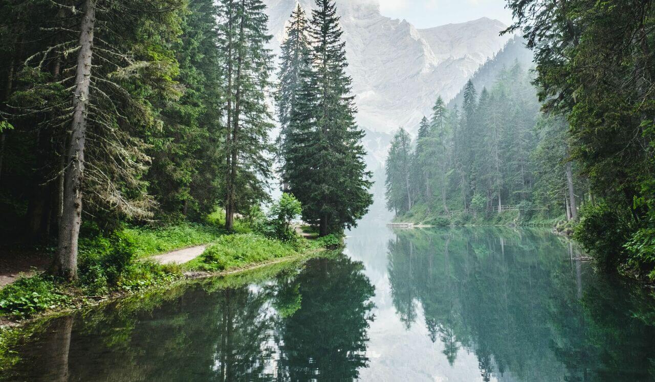 Grief & Responsibility