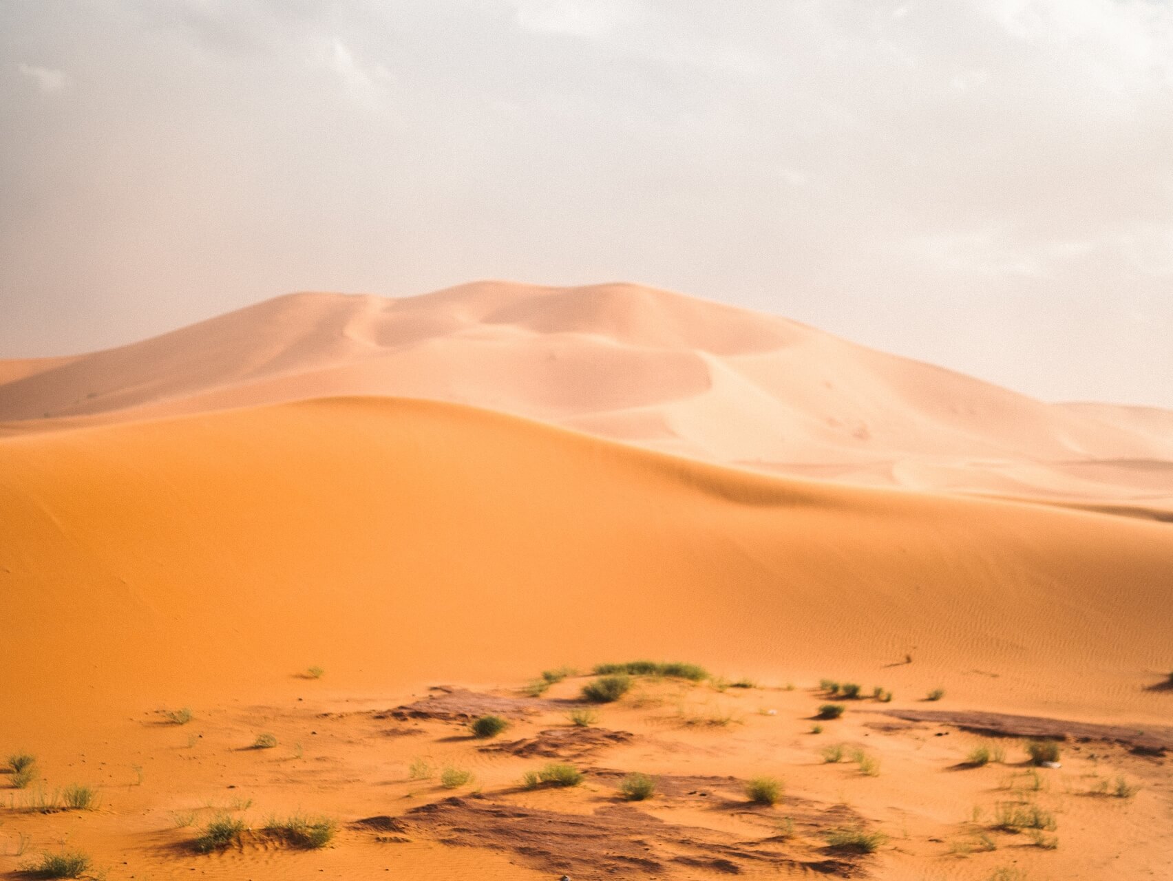 S.O.S. Arenas Movedizas/Calma tu Mente