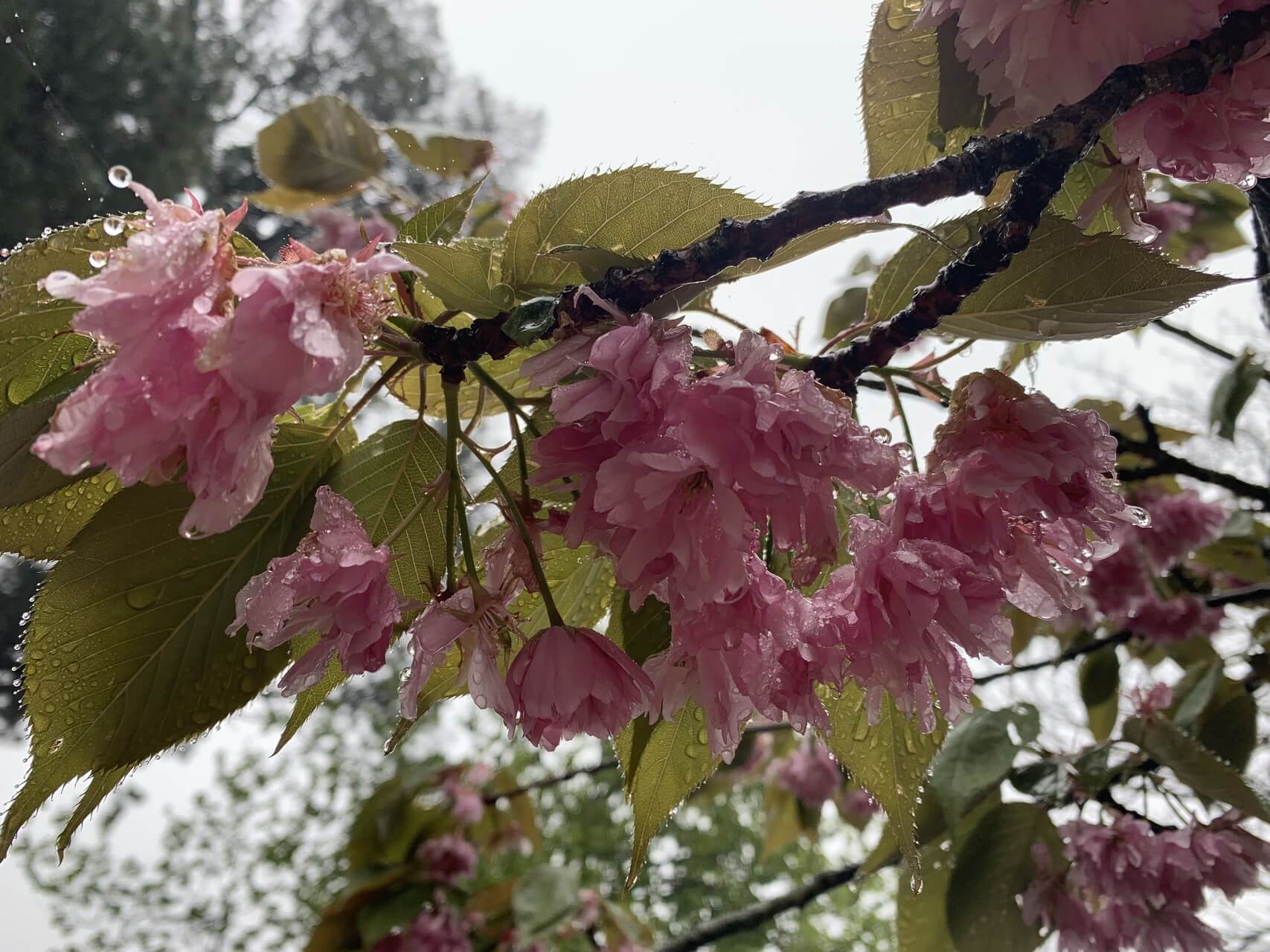 Soles Of Feet Mindfulness