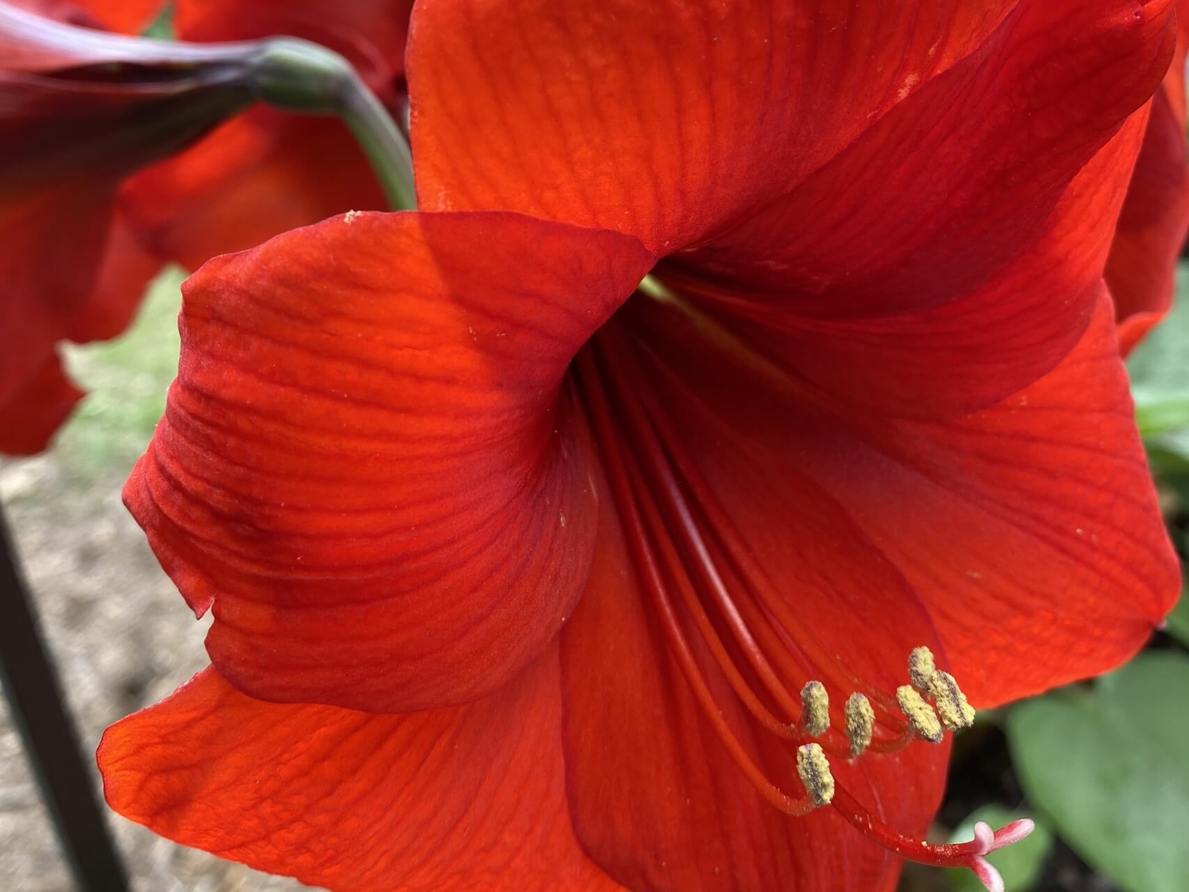 Body Discomfort Titration Practice