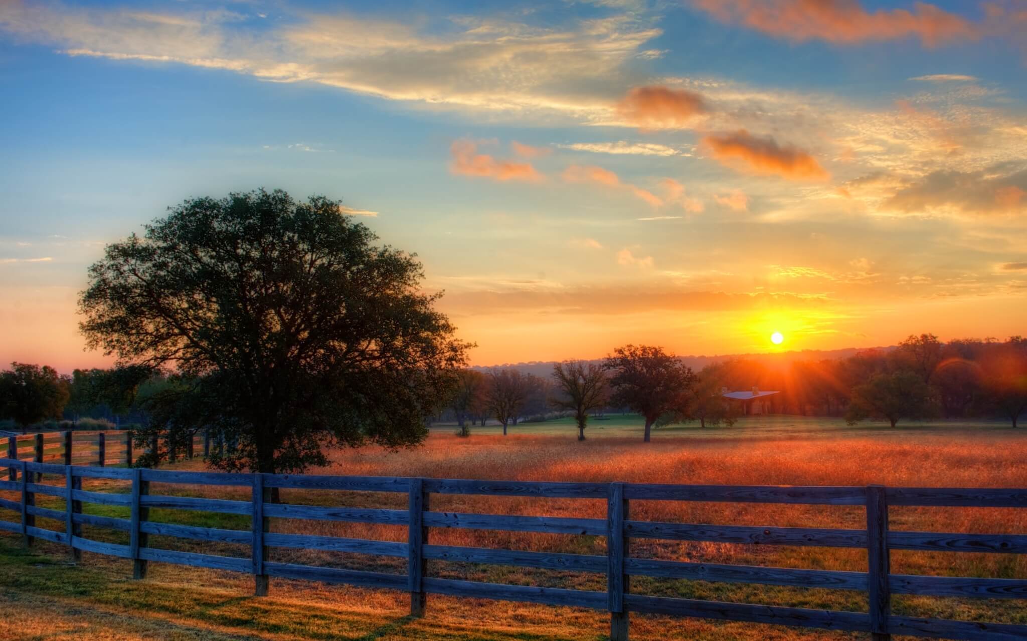 Everything You Need - Morning Meditation