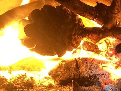 Begrijp Ayurveda: Vertering met Agni en Ama