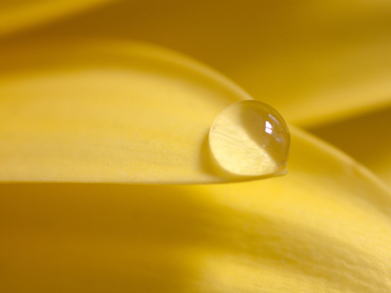 Yoga Nidra For Self-Love