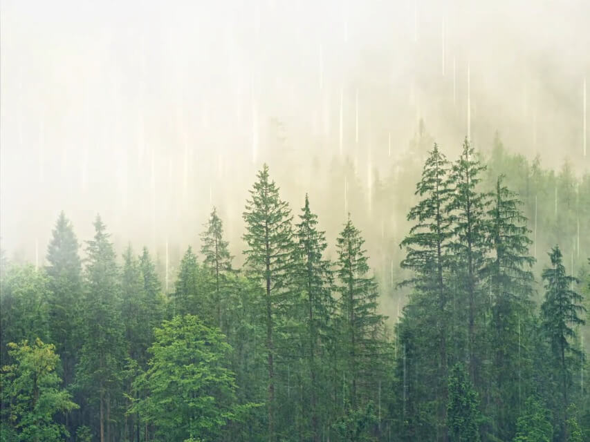 Ambient Relaxing Sounds Of Rain & Beautiful Piano Music | Awaken Abundance,  Insight Timer