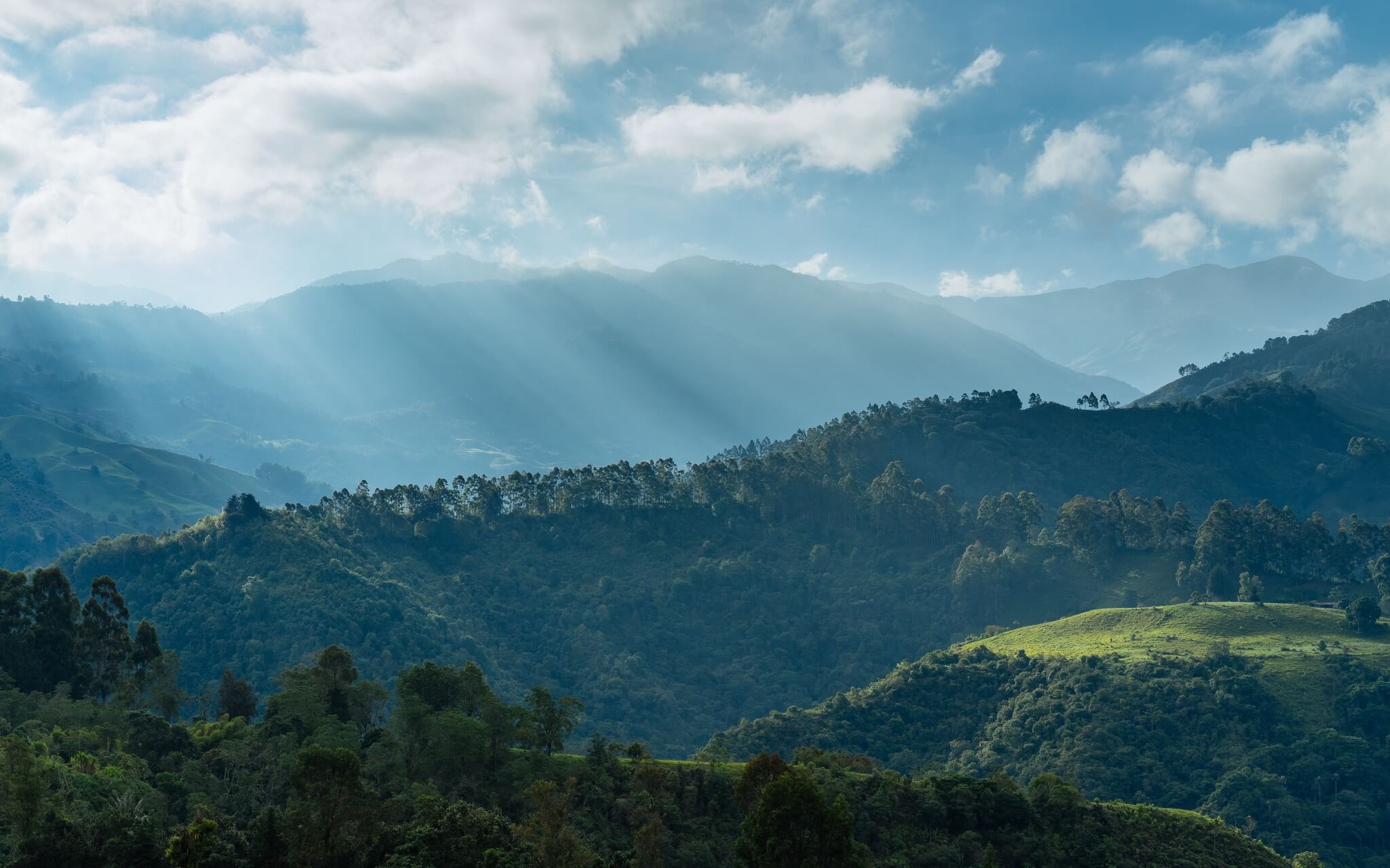 Become Present & Restore Your Divine Blueprint