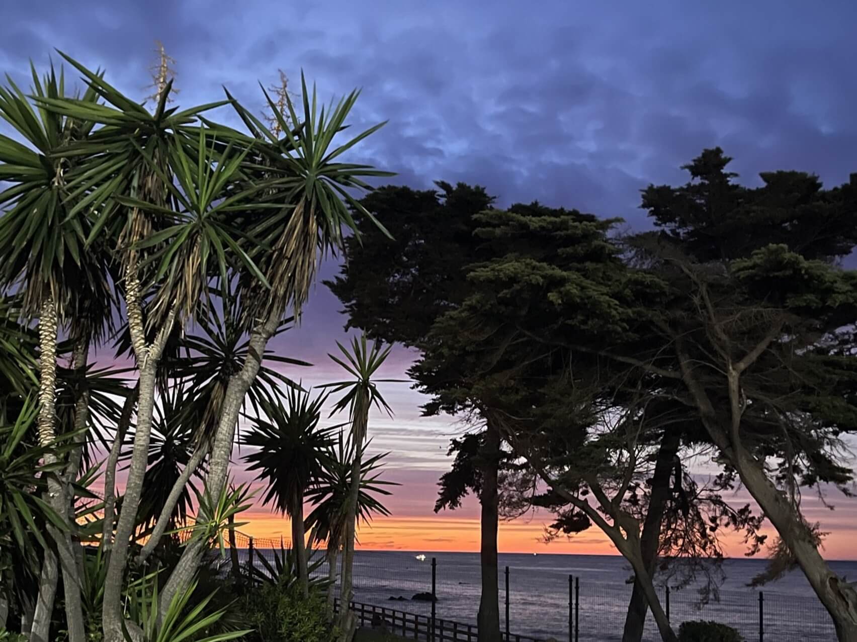 The Velveteen Rabbit Sleep Story