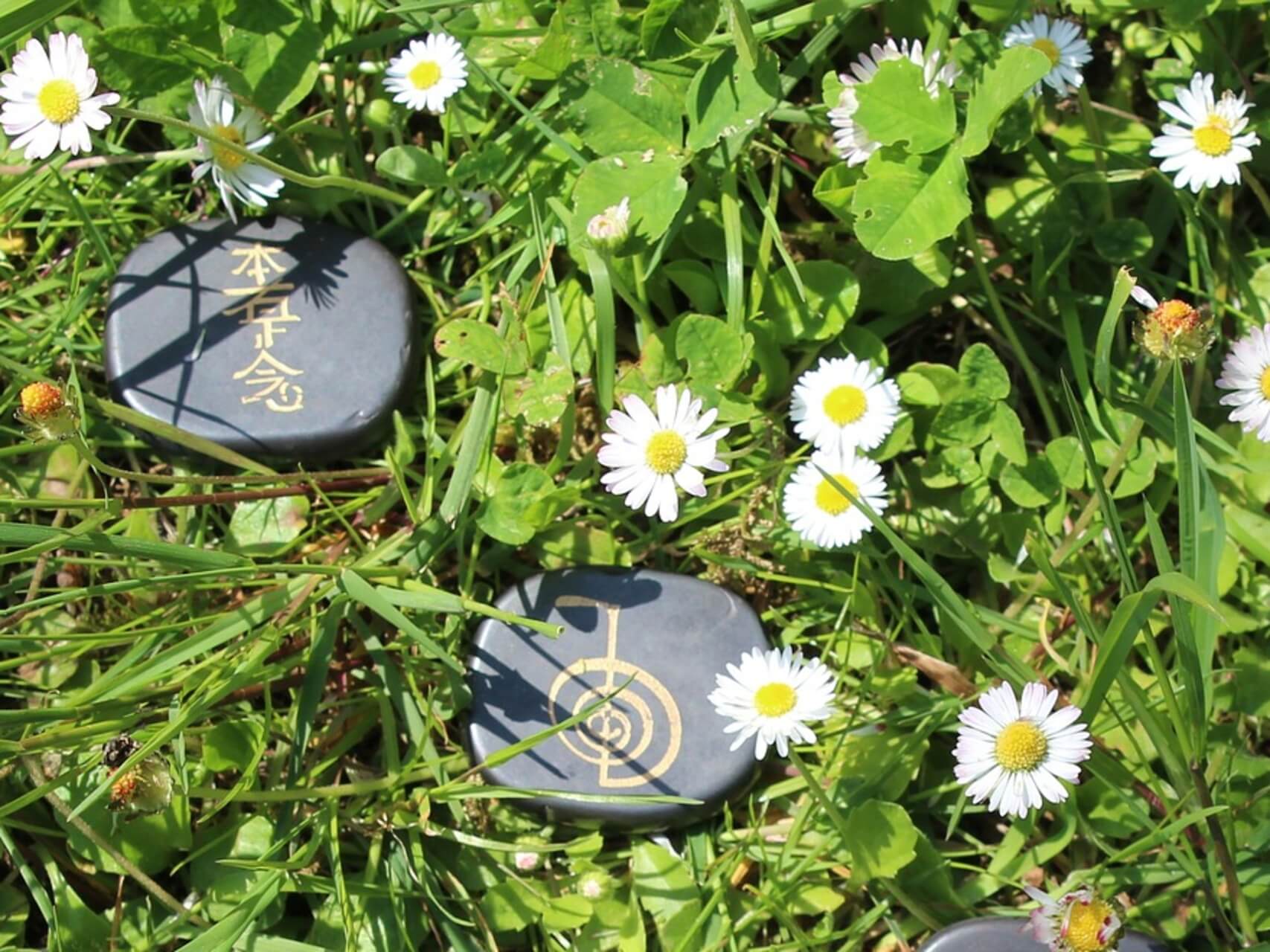 30-Minute Guided Reiki Treatment