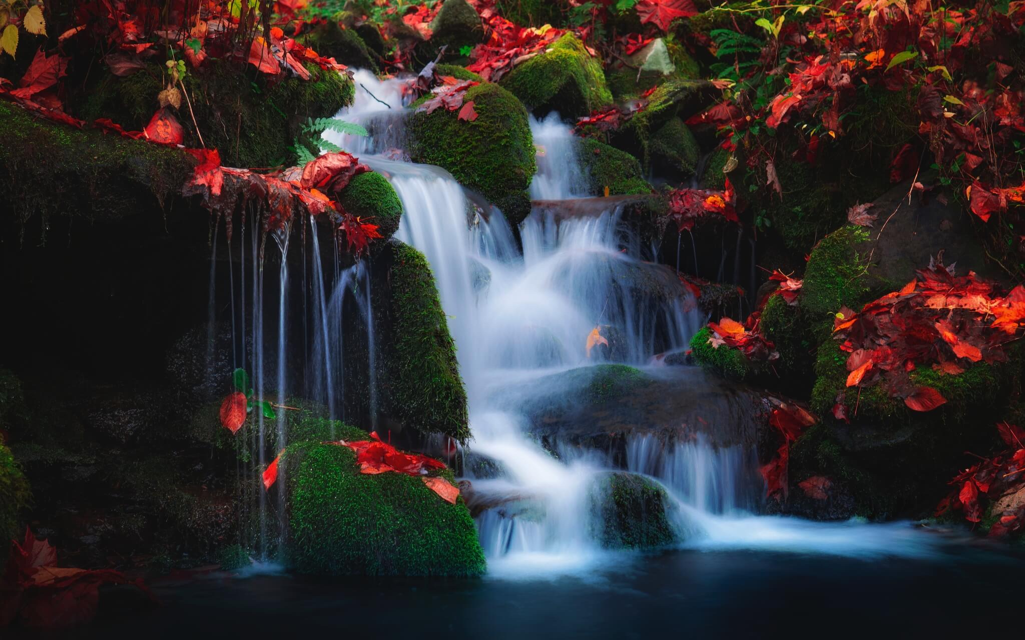 Leaves On A Stream (New Extended Version)