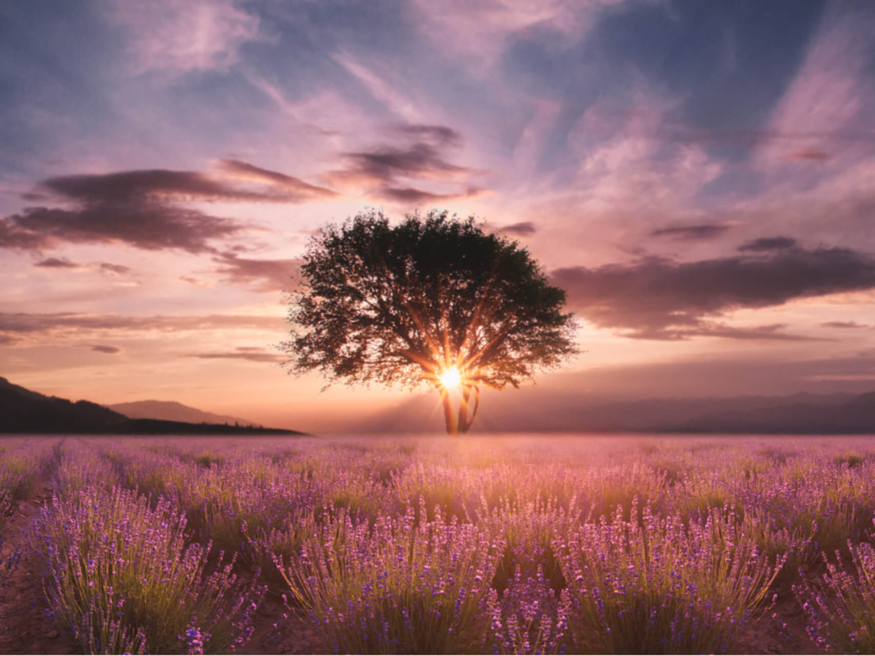 Yoga Nidra For Peace And Tranquility