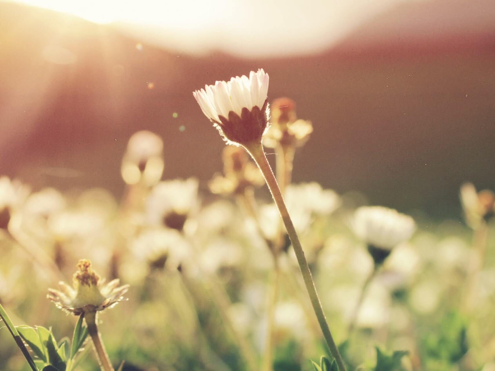 Coping With Emotional Discomfort From Setting Boundaries