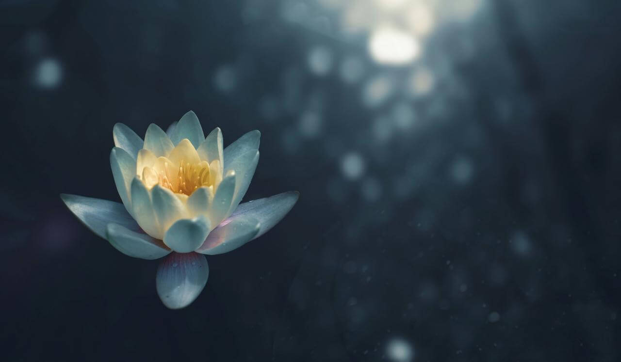 Peace Be Still 8 Hour Christian Sleep Meditation (Mark 4:39)