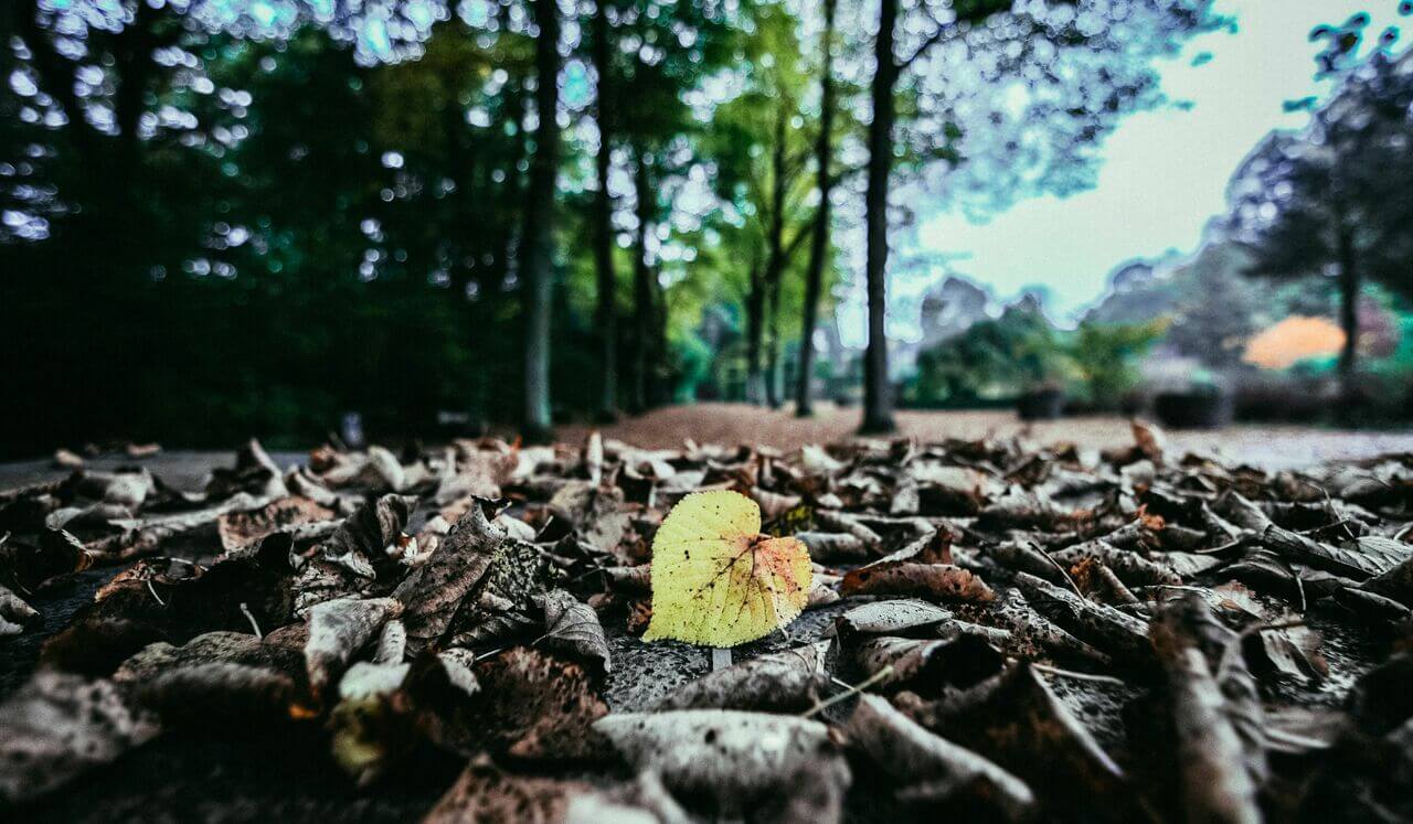 Strengthen Your Self Love