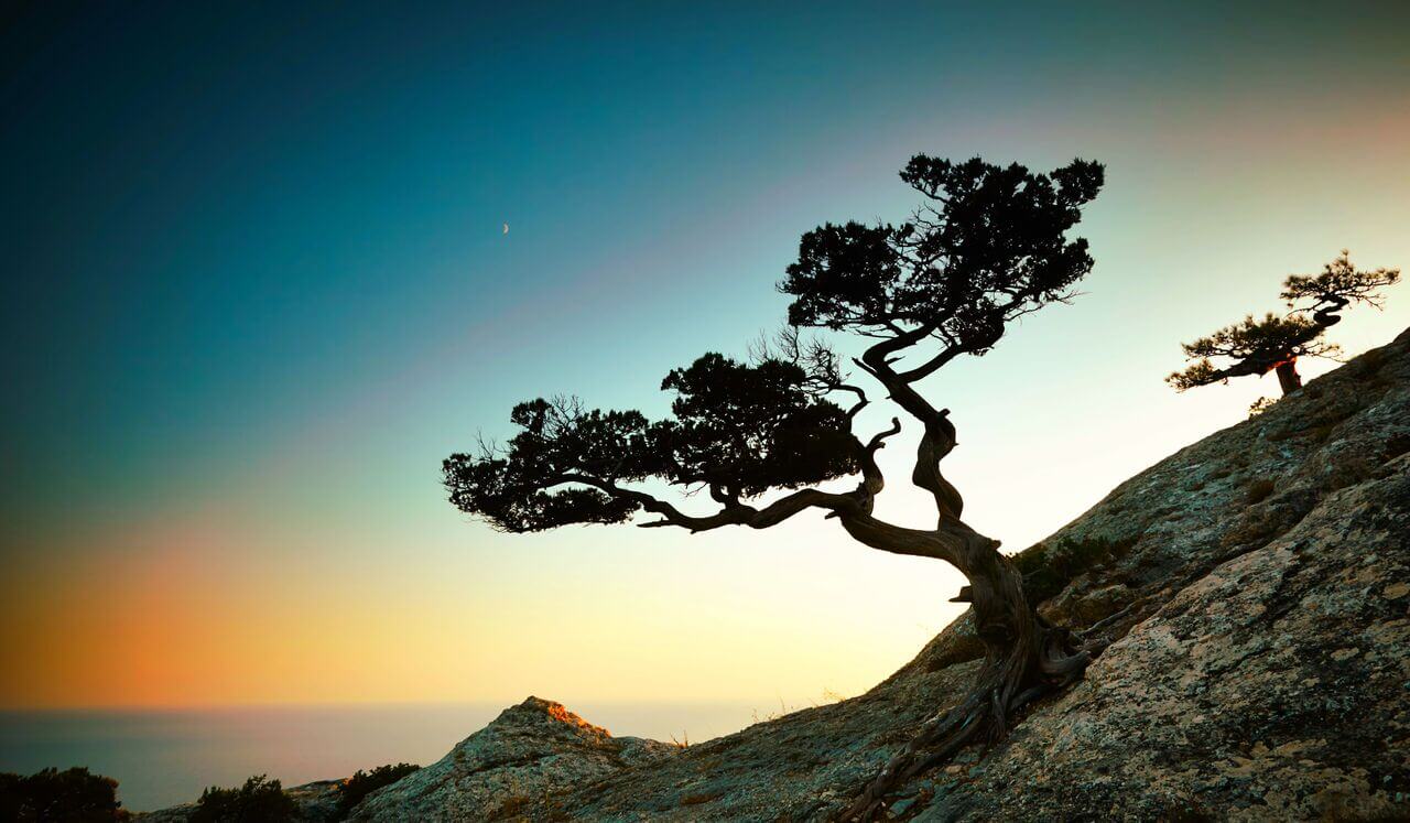 I AM Affirmations: Face Challenges With Courage & Resolve