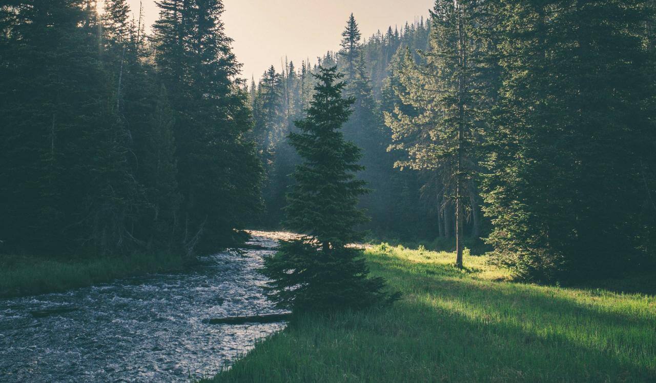 Yoga Nidra: Guided Relaxation For Stress, Anxiety & Insomnia