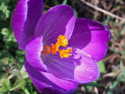 Creatively Connect With Nature - by Anna Skoyles