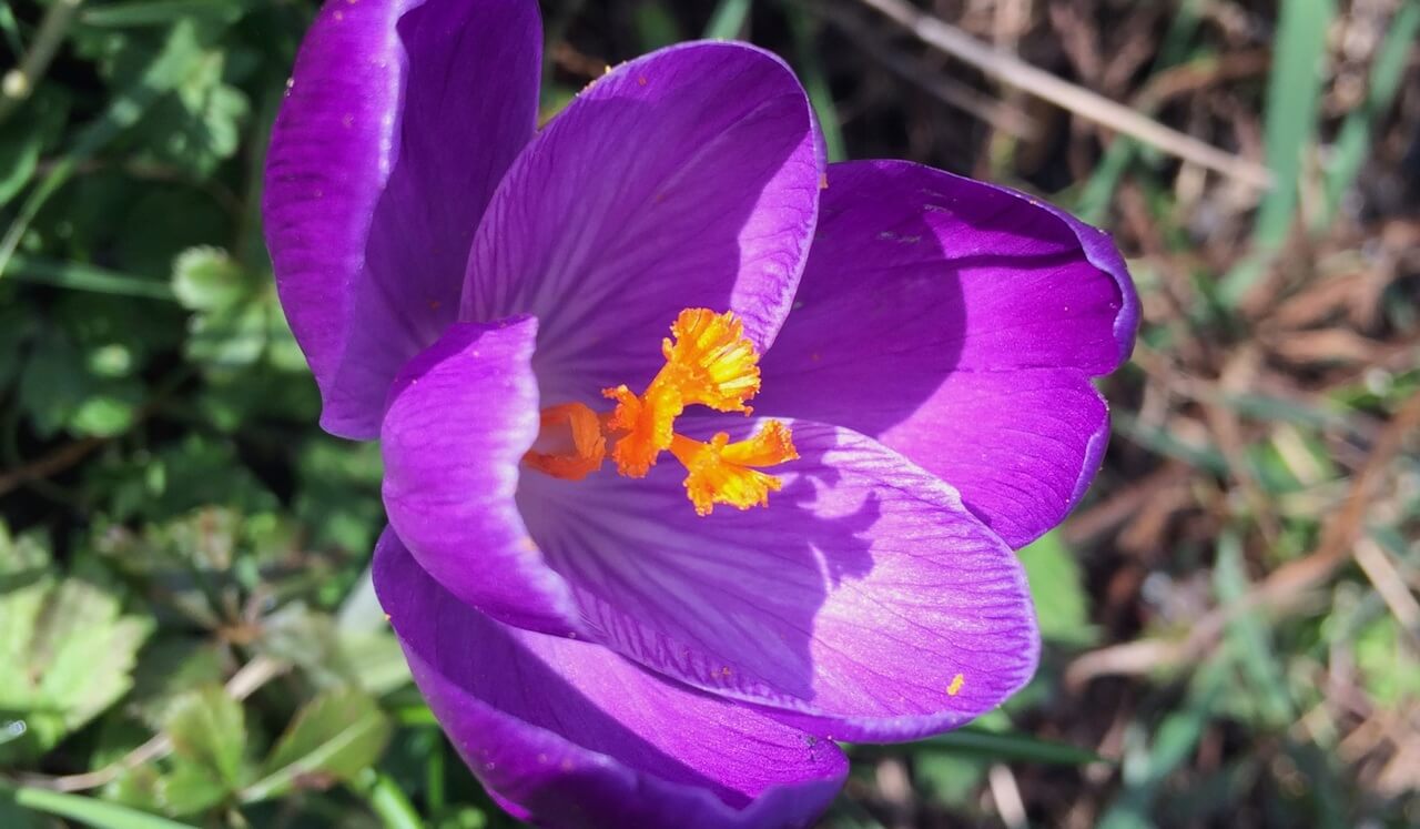 Creatively Connect With Nature