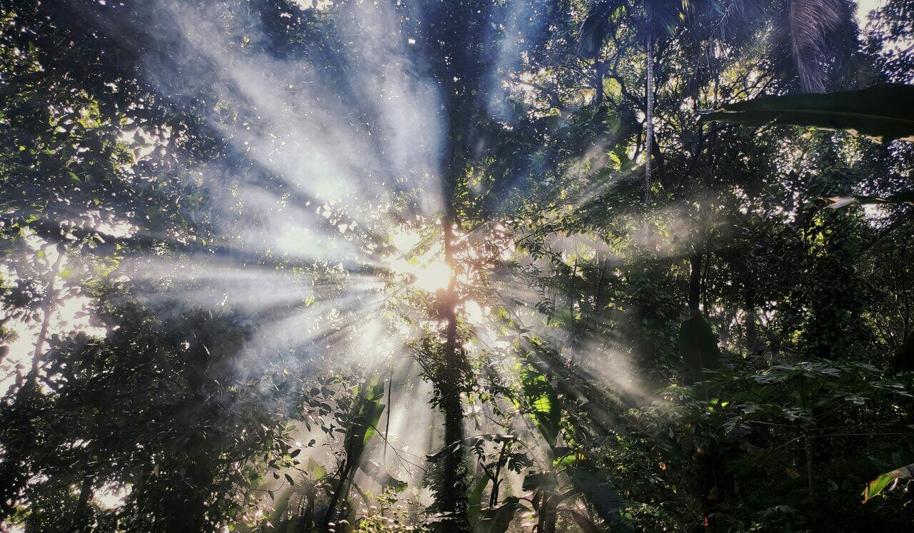 How To Find Your True Self