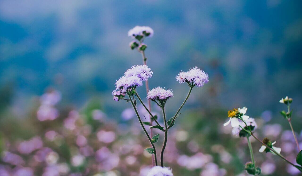 Why Mindfulness Matters In DBT