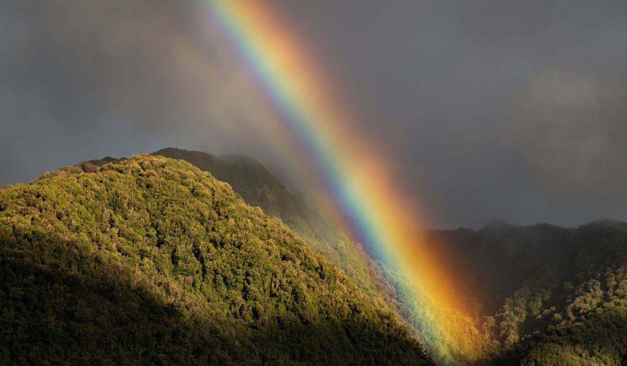 Activating The Light Body: Deep Sleep Rest In Radiance 28Min