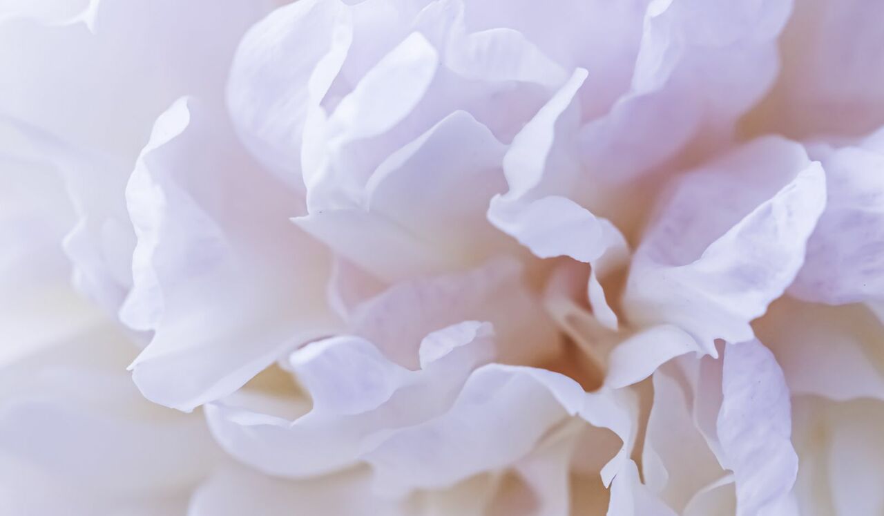 Trust In Yourself: Reconnect, Regulate, And Recharge