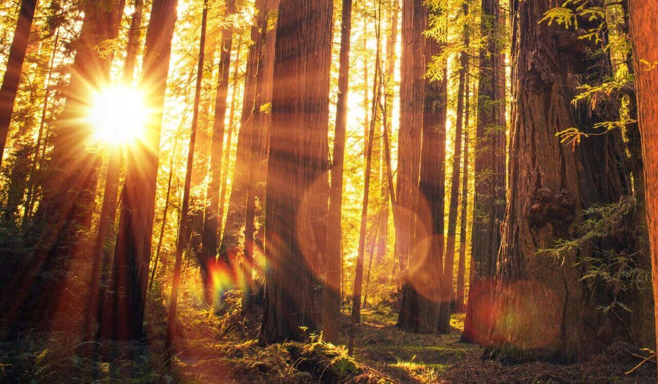 Grief Theta Healing Meditation