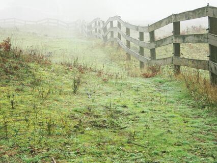 Welcoming Anger Teaching