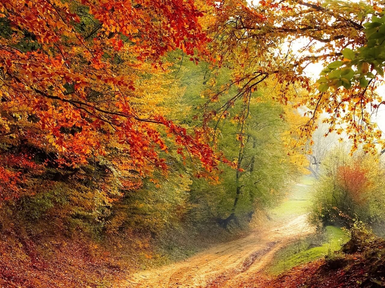 The Most Relaxing Music In The World