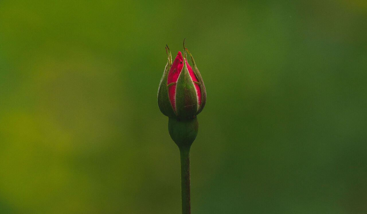 Embracing Not Knowing