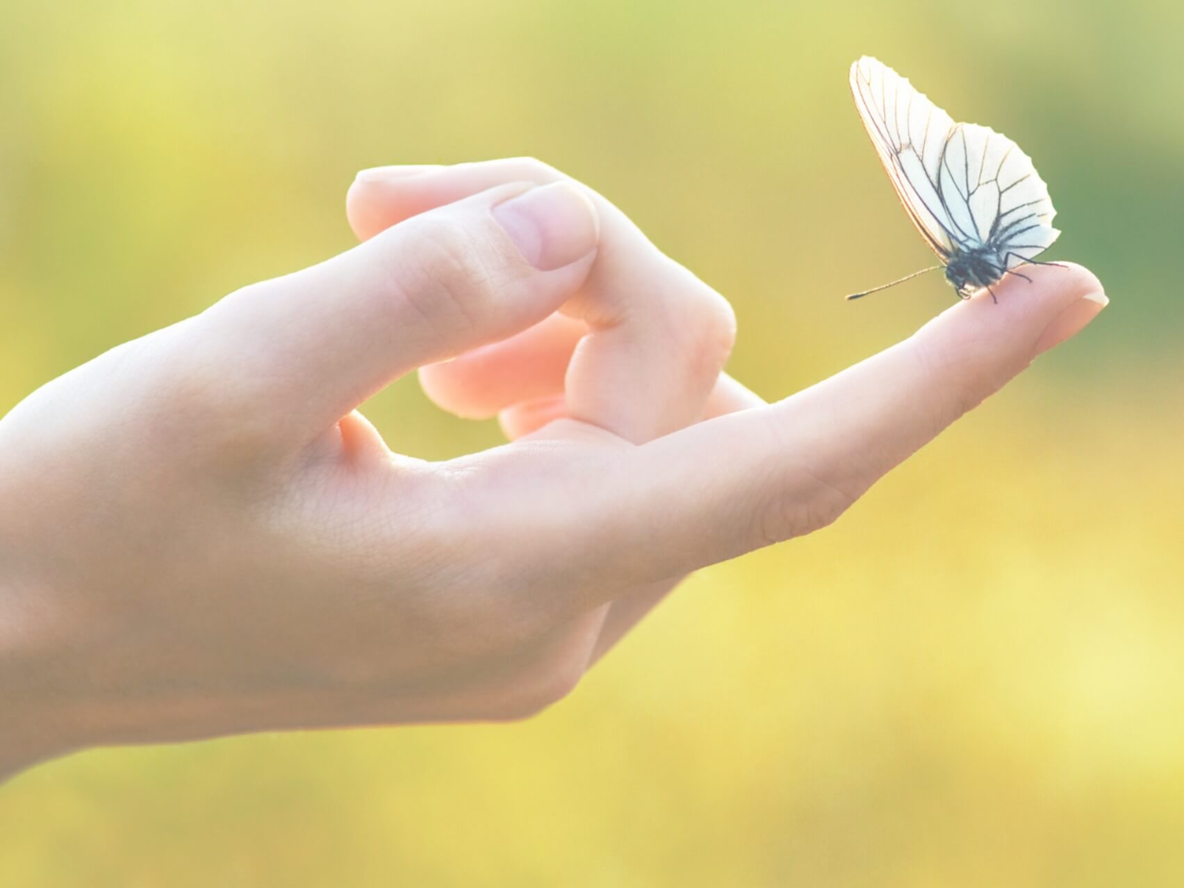 Seeking The Source Of That Overwhelmed Feeling