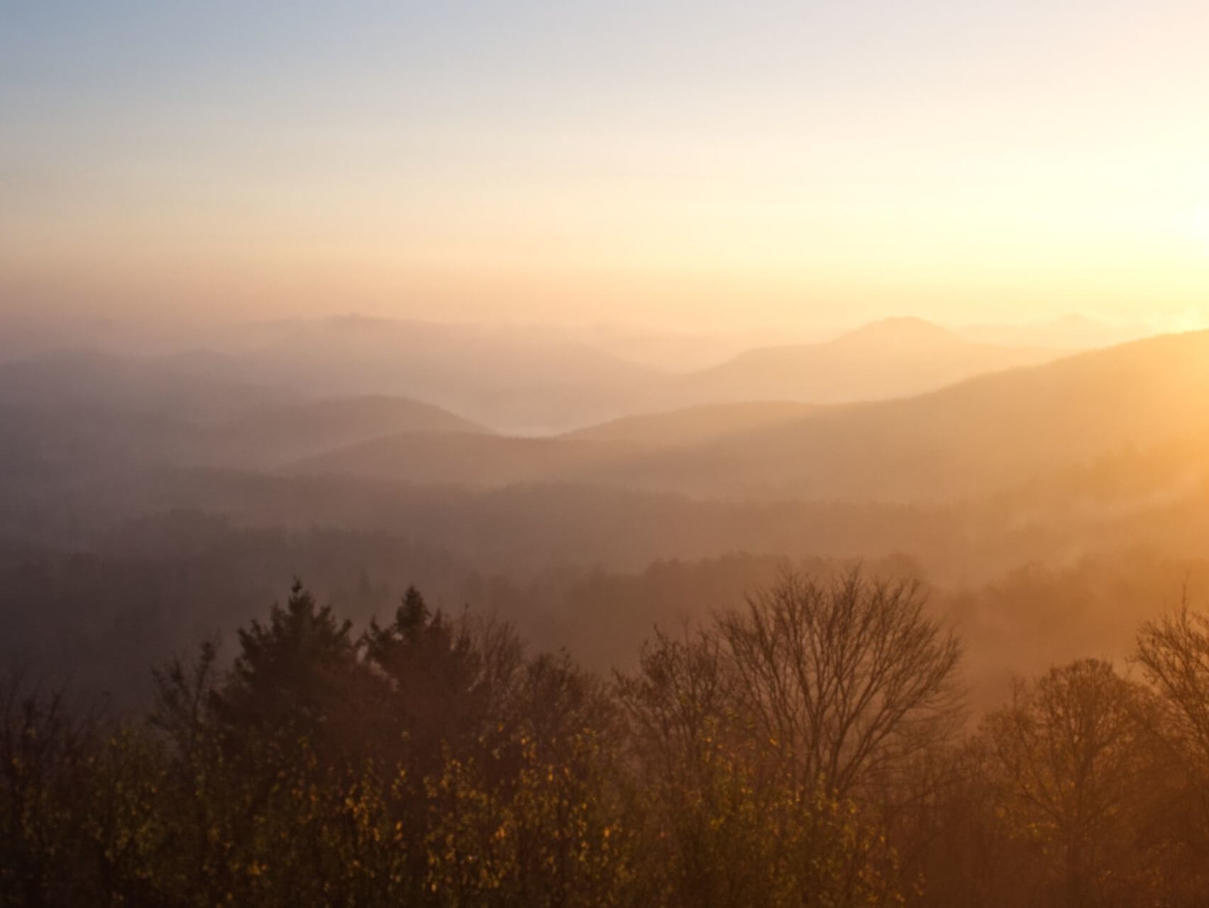 Manage Alcohol Cravings With Ease