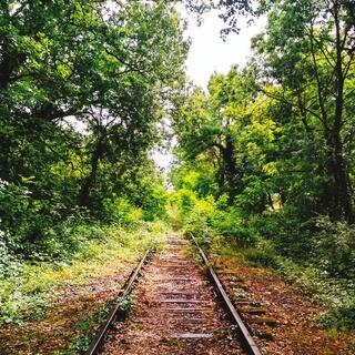 Public Transport Meditation The Mindfulness Project