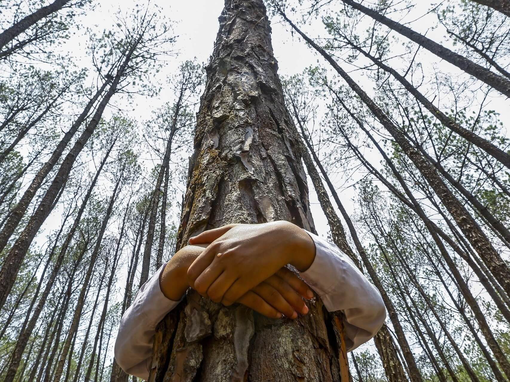 1/10 Introduction To The Work That Reconnects