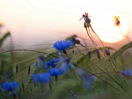 Healing Self-Love Meditation