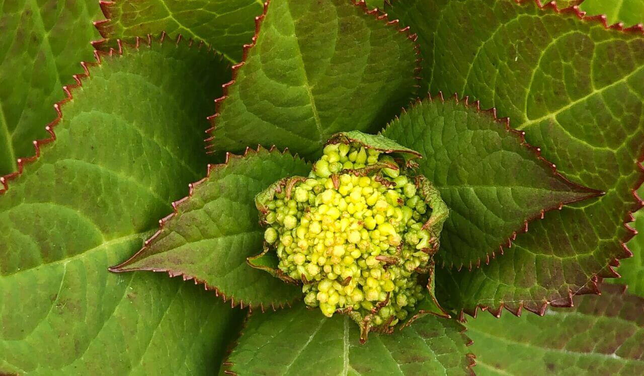 Yoga Nidra: Inner Sanctuary (Live, No Music)