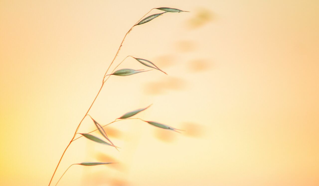 Calm Yourself in Seconds