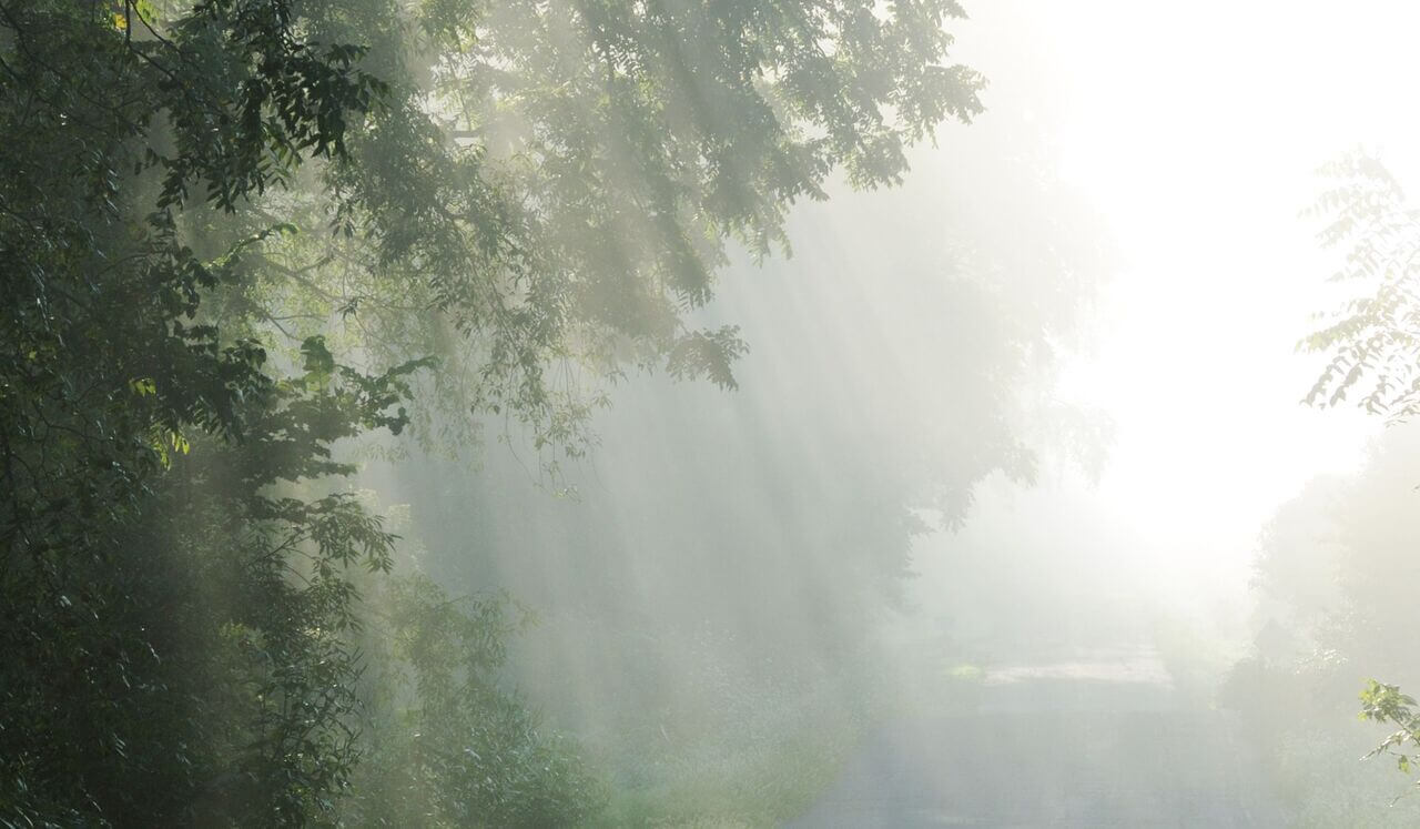 Confiando em Deus: Meditação para Entregar e Descansar