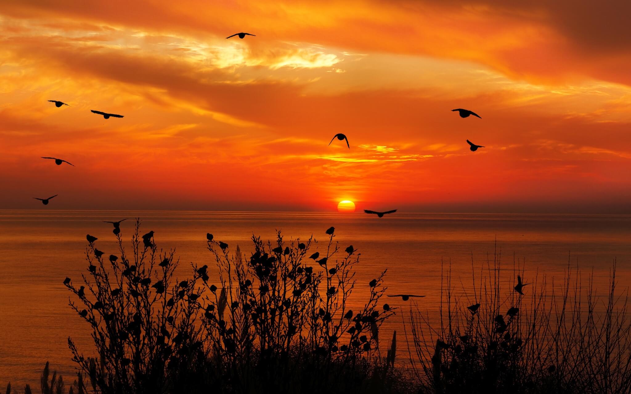 Relaxation For Long Covid, Illness & Fatigue