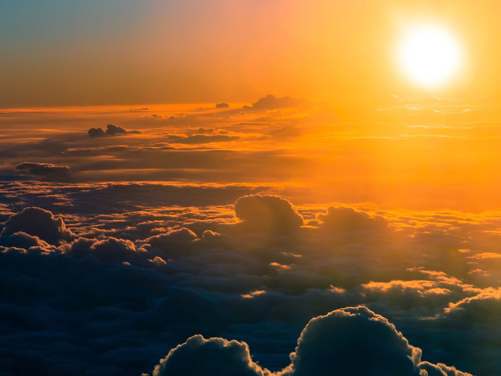 Recibe el Nuevo Día