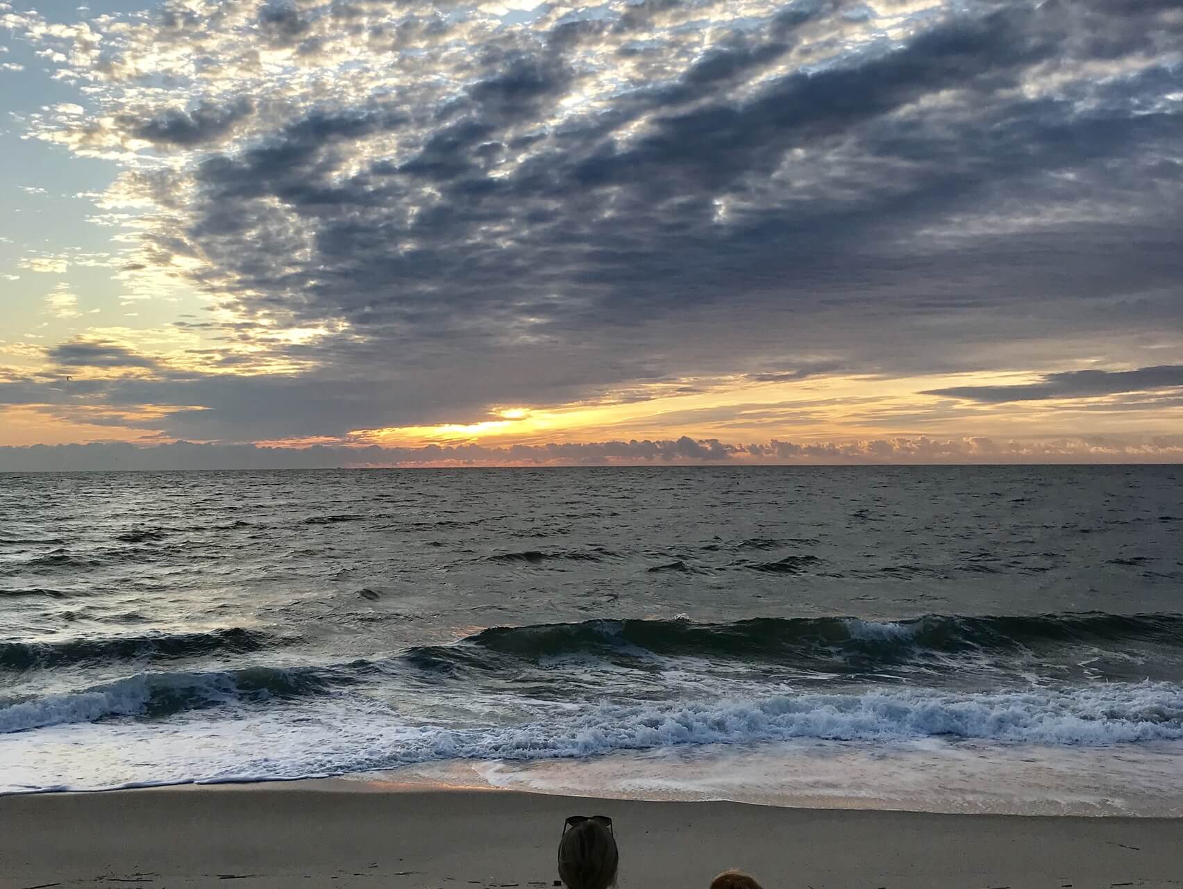 Being With Loss & Grief