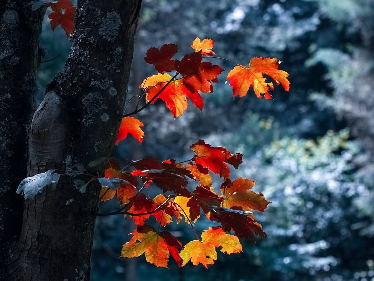 Rewriting Relational Trauma: Part One