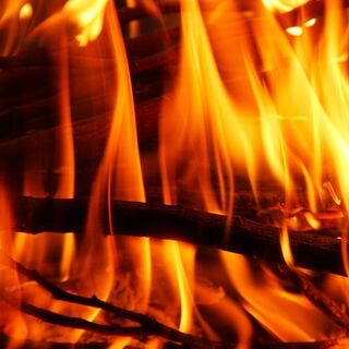 Ellie Jane and the Unicorn | Mystical Storytelling with Molly