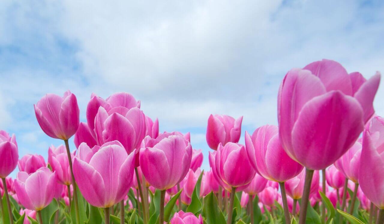 NSDR For Rejection Sensitivity