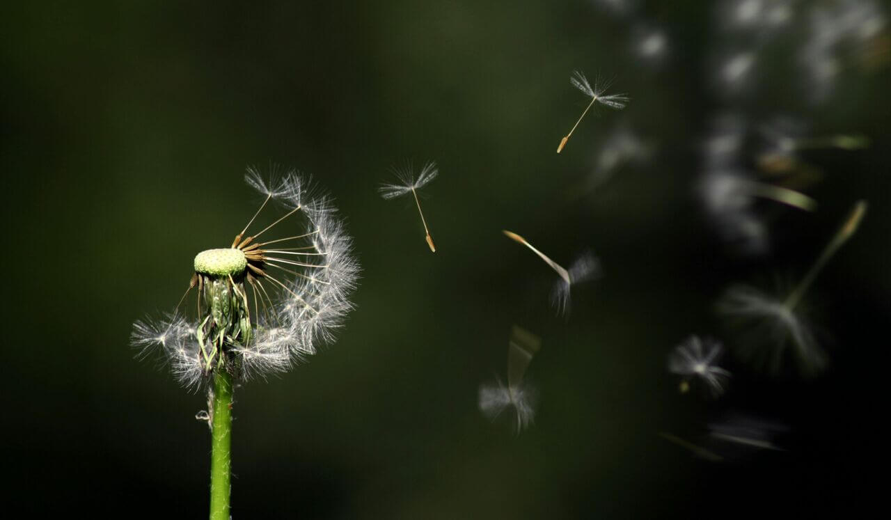 Respiración Consciente