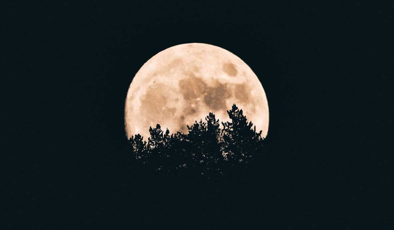 Day 4: Dreamy Sleep Story - The Boy Who Fished For Dreams