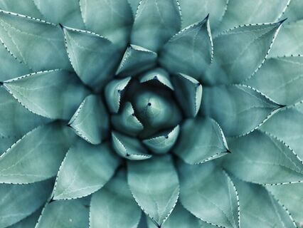 Soothe Away Anger - by Alice Langholt