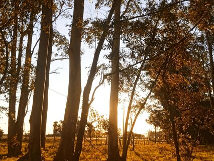 Breathe & Release: An 8-Minute Calming Meditation