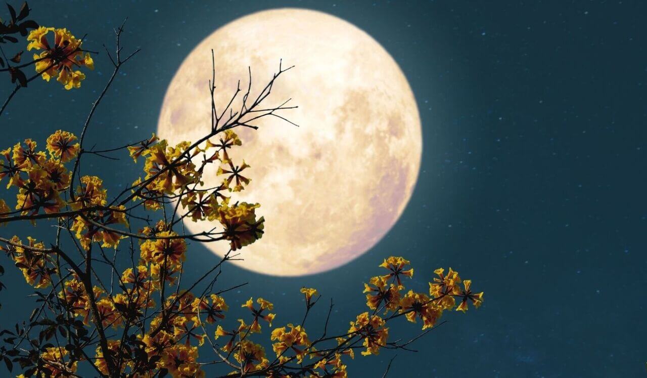 Angel Reiki Full Healing Meditation: Full Moon Release