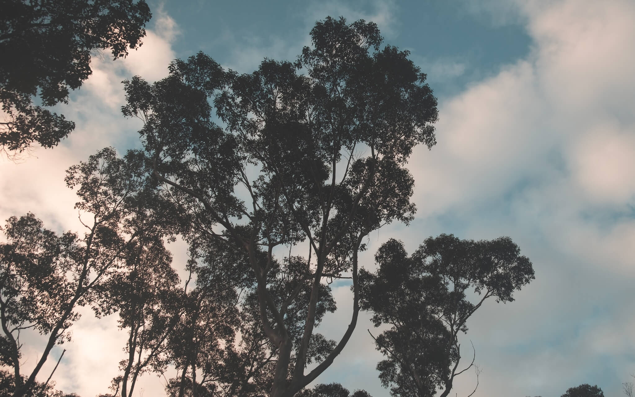 4 Minute Balancing Box Breath