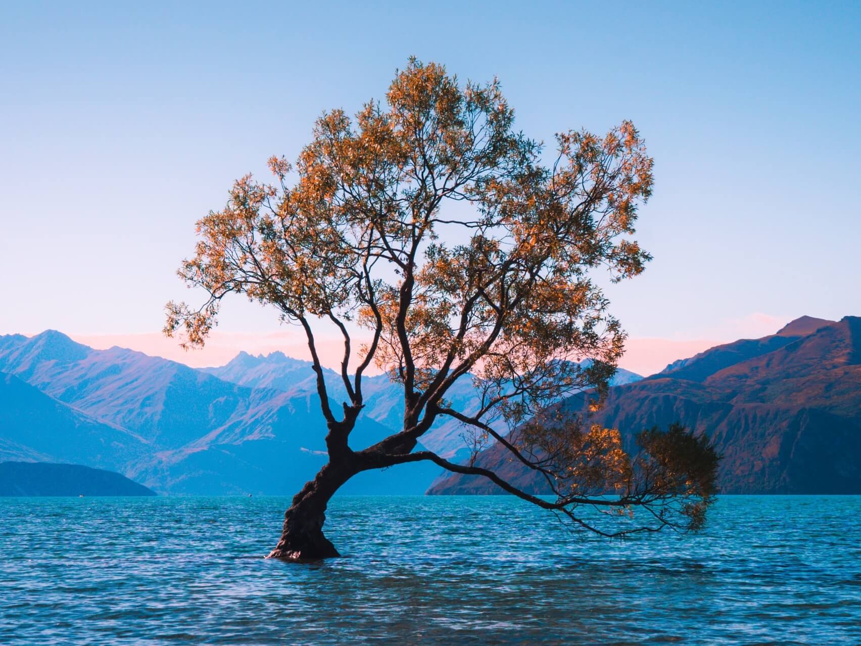 Short Yoga Nidra To Remember